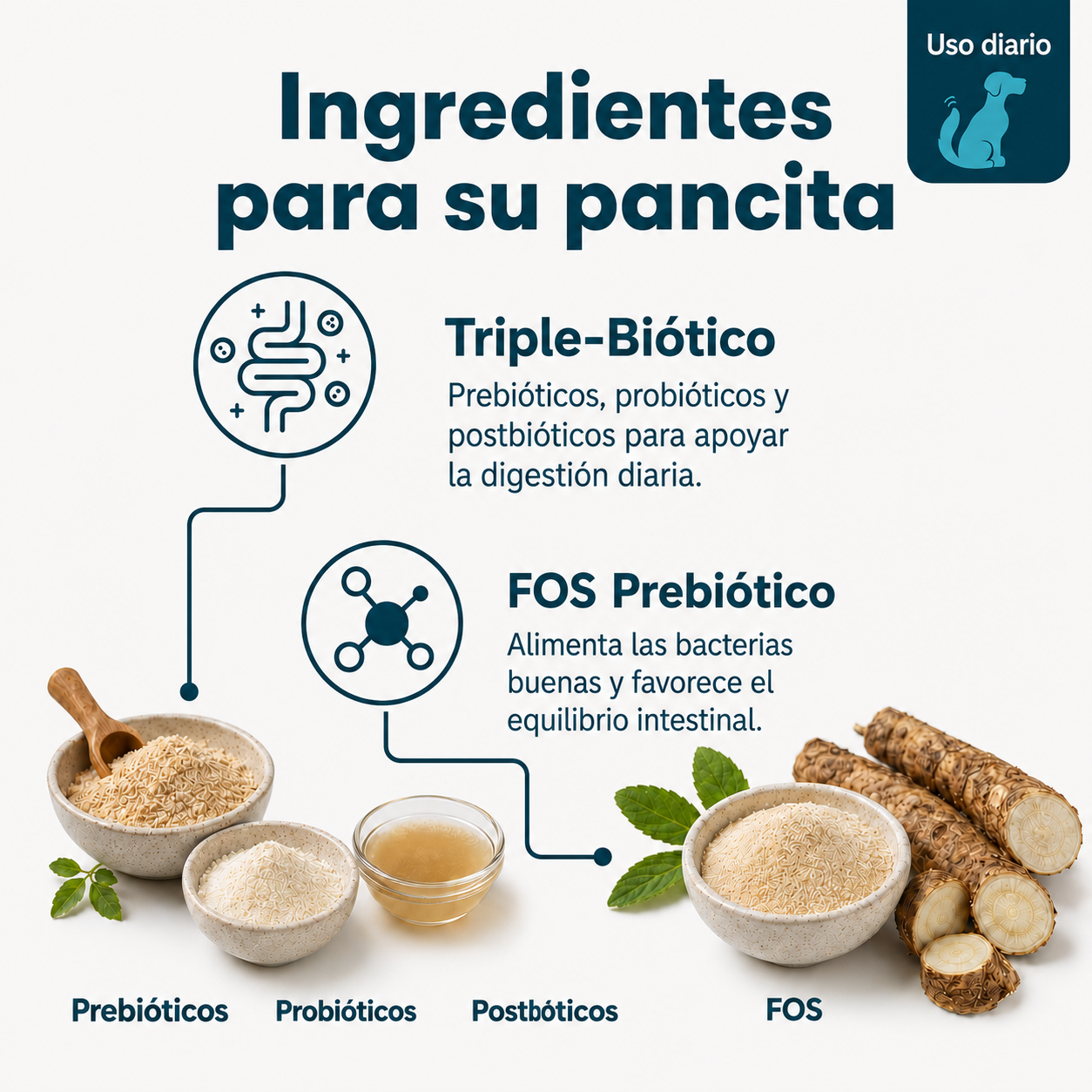 Probióticos para Perros — Gomitas Diarias para una Pancita Más Tranquila