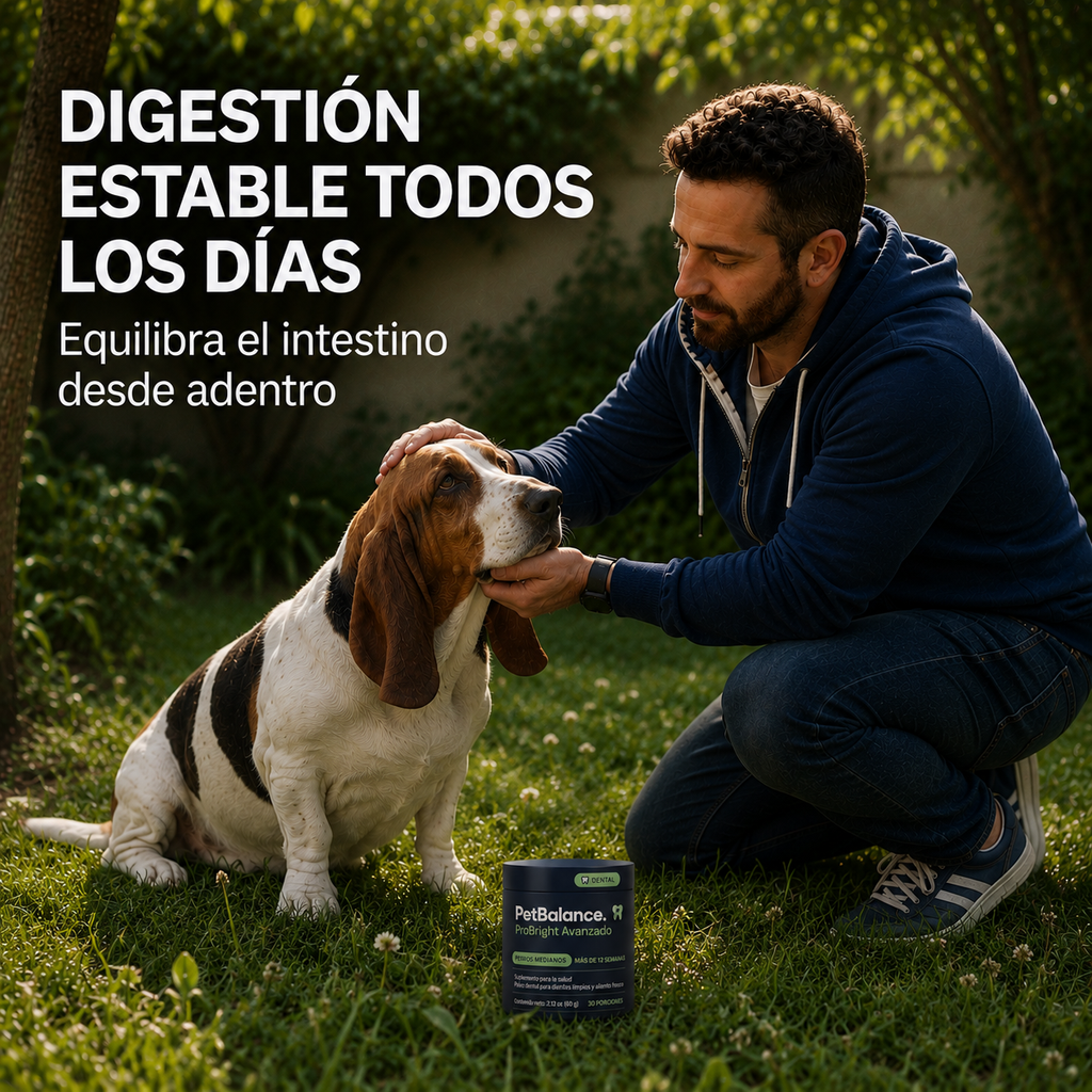 Polvo Dental para Perros — Cuidado Diario para un Aliento Fresco