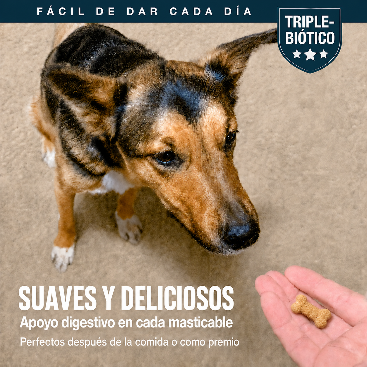 Probióticos para Perros — Gomitas Diarias para una Pancita Más Tranquila