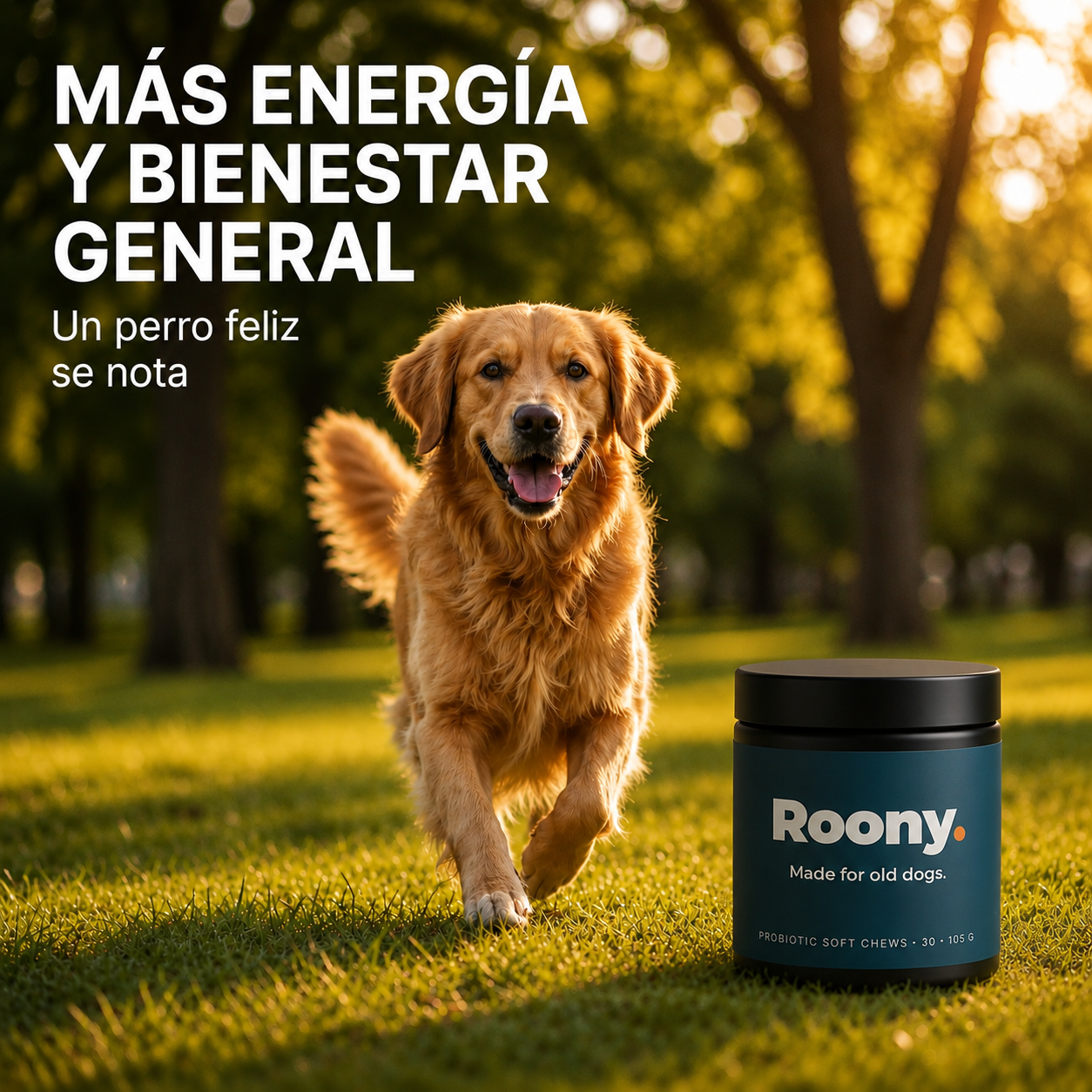 Probióticos para Perros — Masticables para la Salud Digestiva