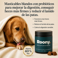 Probióticos para Perros — Masticables para la Salud Digestiva