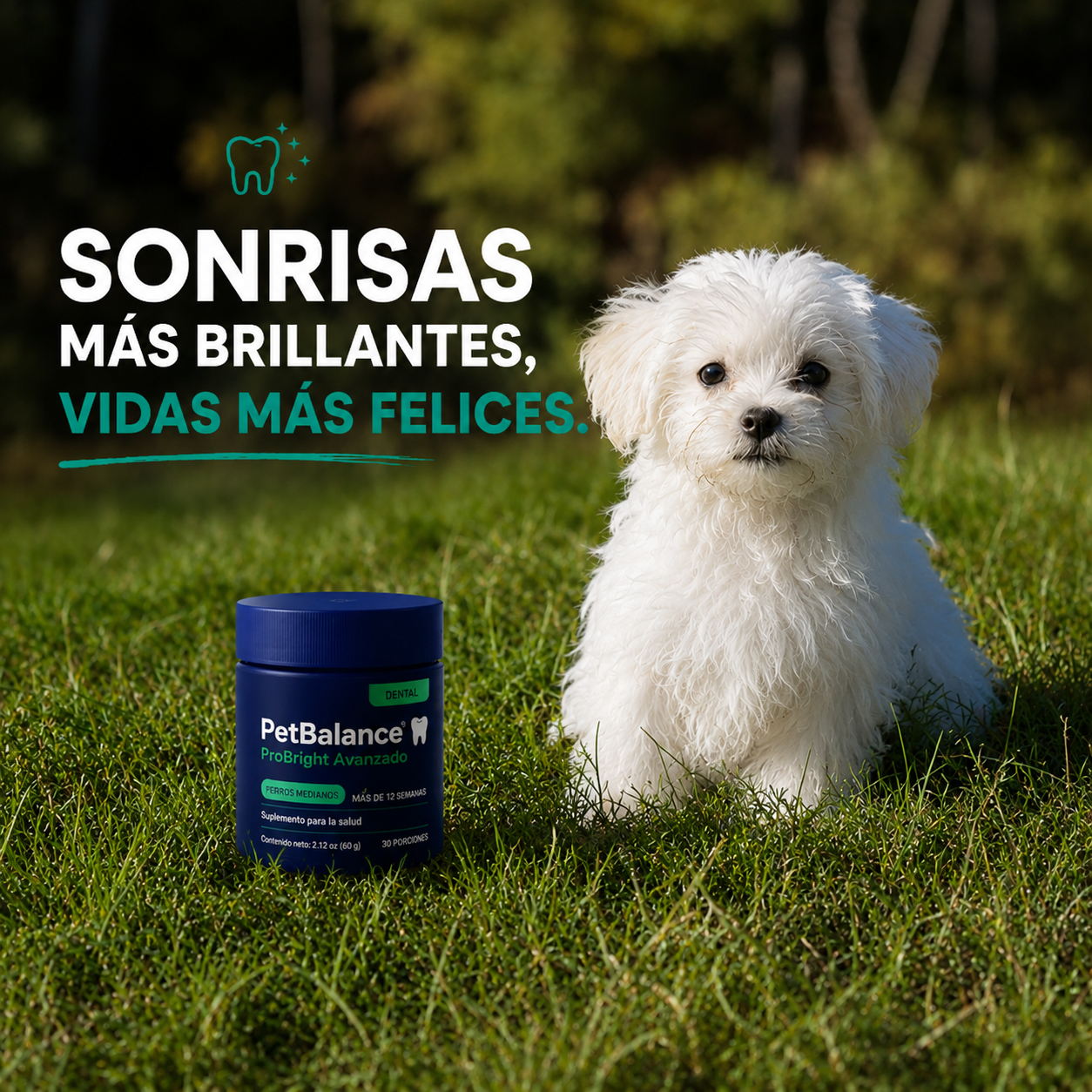 Polvo Dental para Perros — Cuidado Diario para un Aliento Fresco