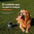 Probióticos para Perros — Masticables para la Salud Digestiva