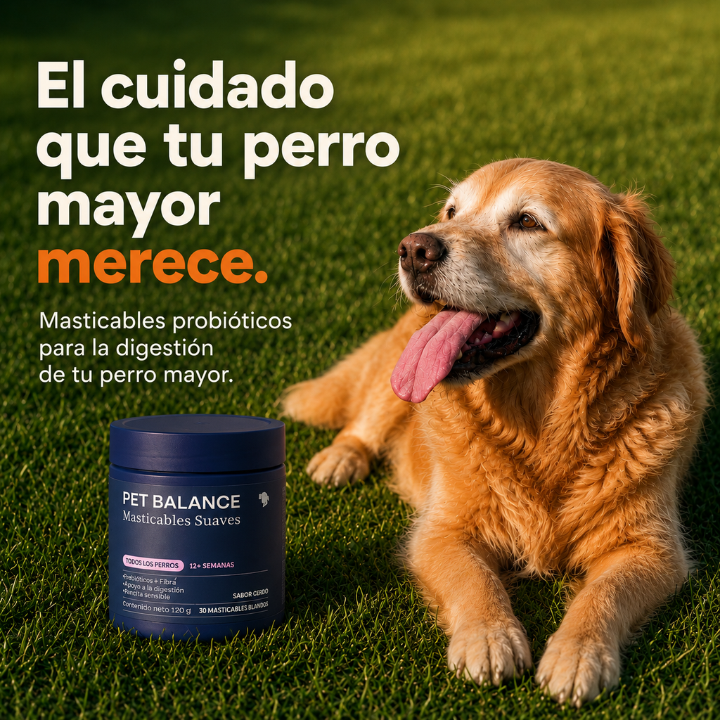 Probióticos para Perros — Masticables para la Salud Digestiva