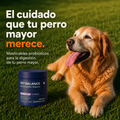 Probióticos para Perros — Masticables para la Salud Digestiva