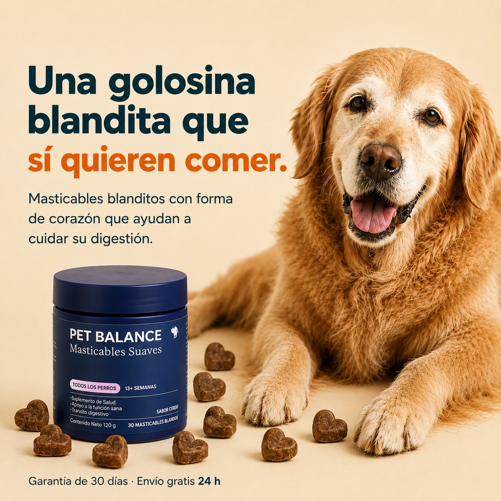 Probióticos para Perros — Masticables para la Salud Digestiva