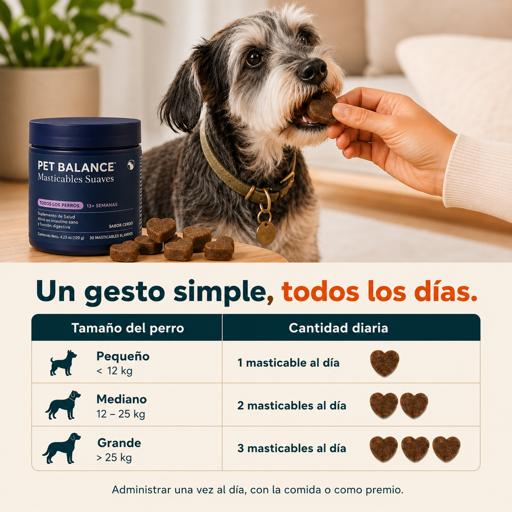 Probióticos para Perros — Masticables para la Salud Digestiva