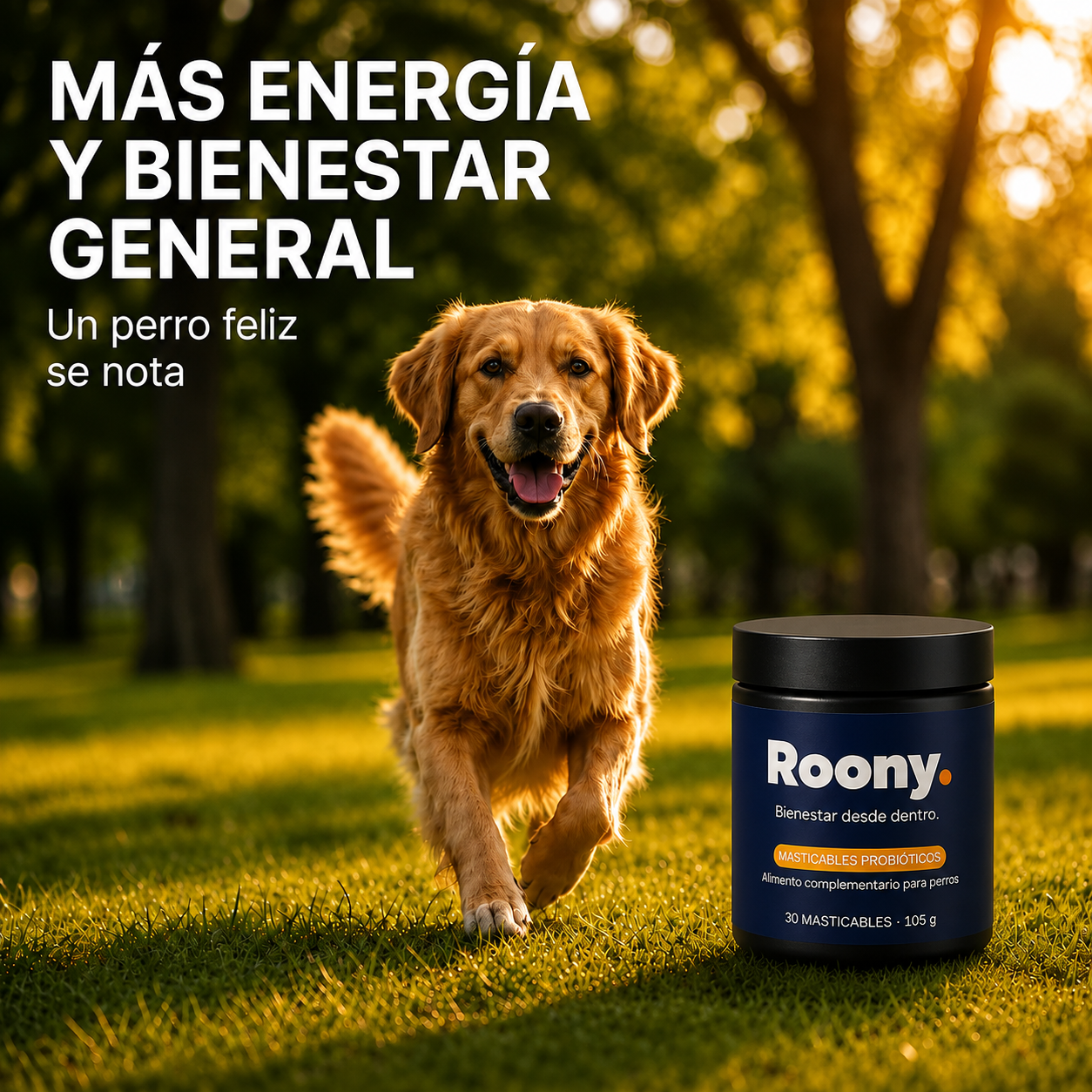 Probióticos para Perros — Masticables para la Salud Digestiva