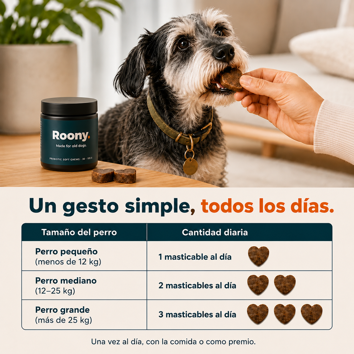 Probióticos para Perros — Masticables para la Salud Digestiva