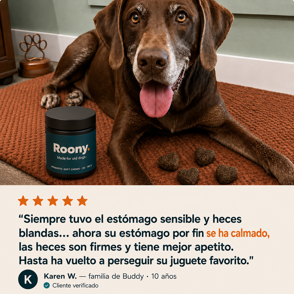Probióticos para Perros — Masticables para la Salud Digestiva