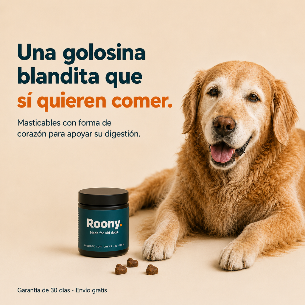 Probióticos para Perros — Masticables para la Salud Digestiva