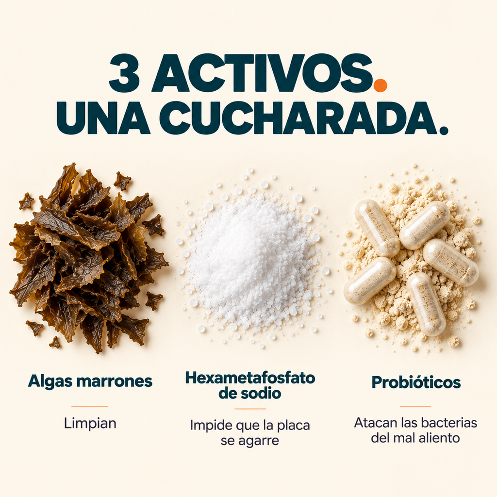 Polvo Dental