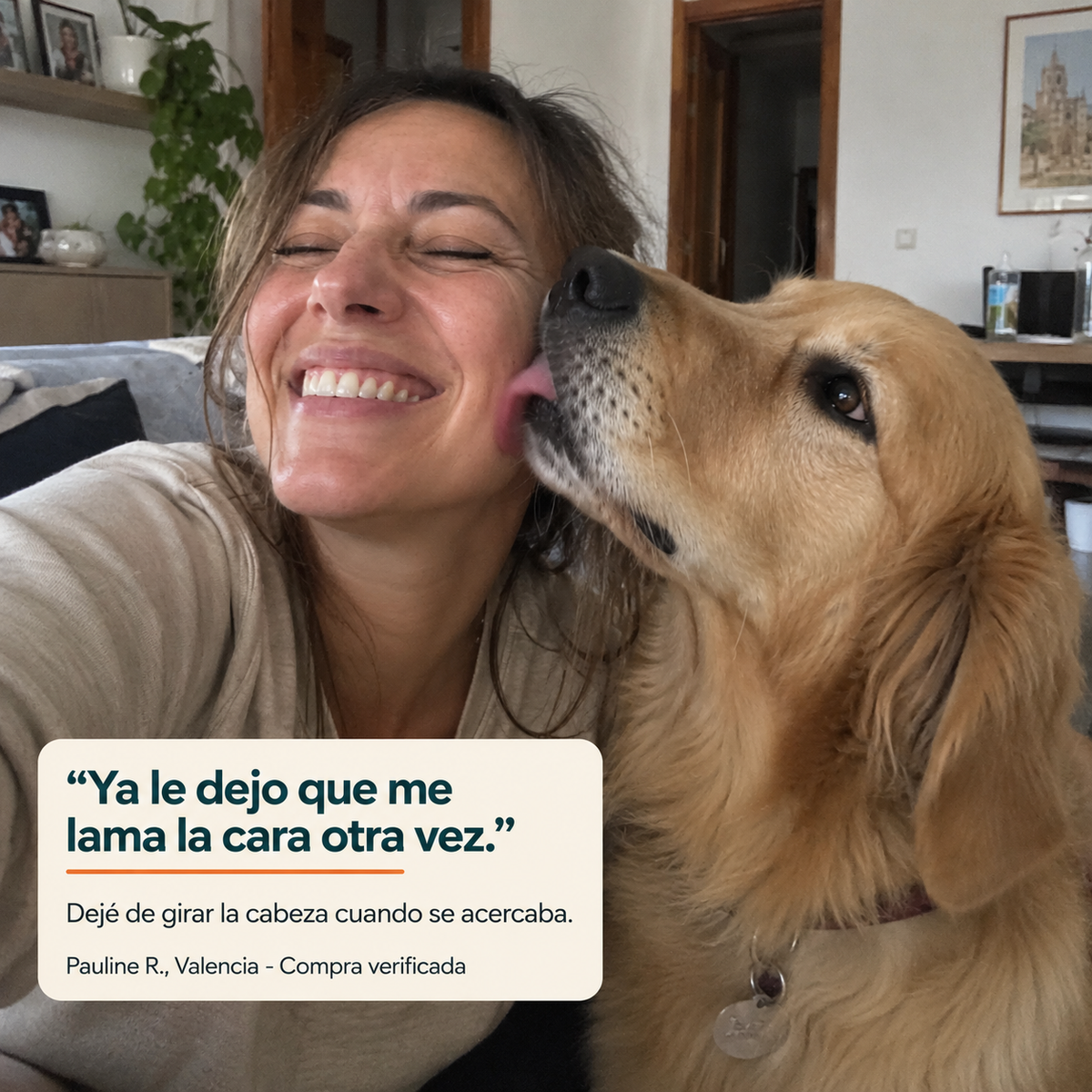 Polvo Dental