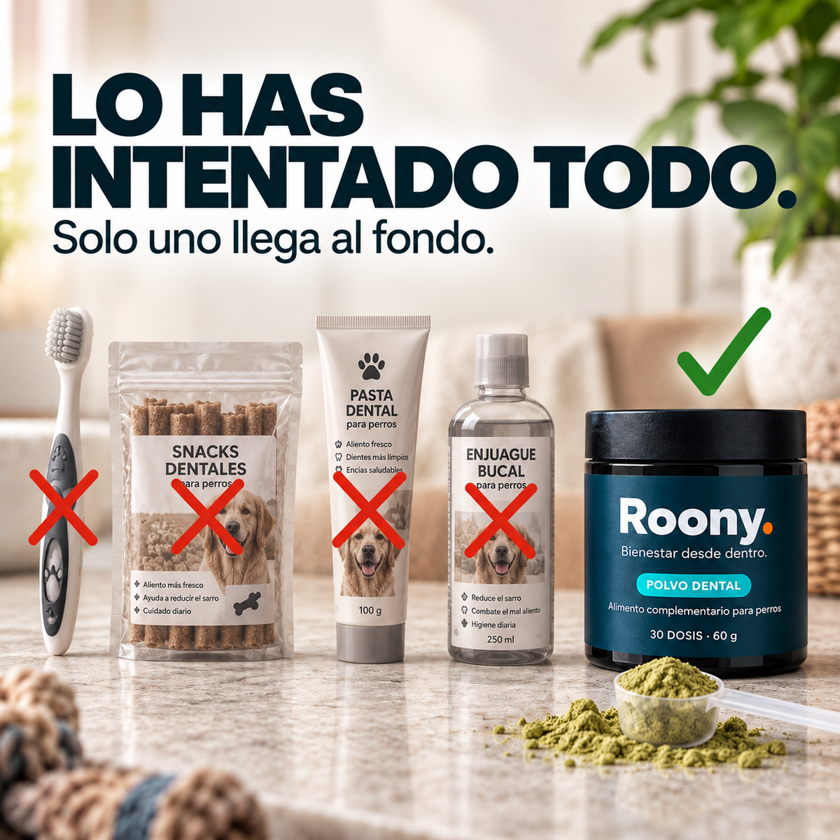 Polvo Dental