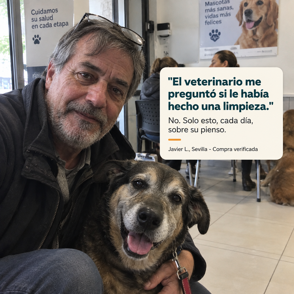 Polvo Dental