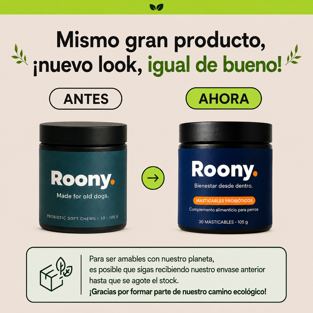 Probióticos para Perros — Masticables para la Salud Digestiva