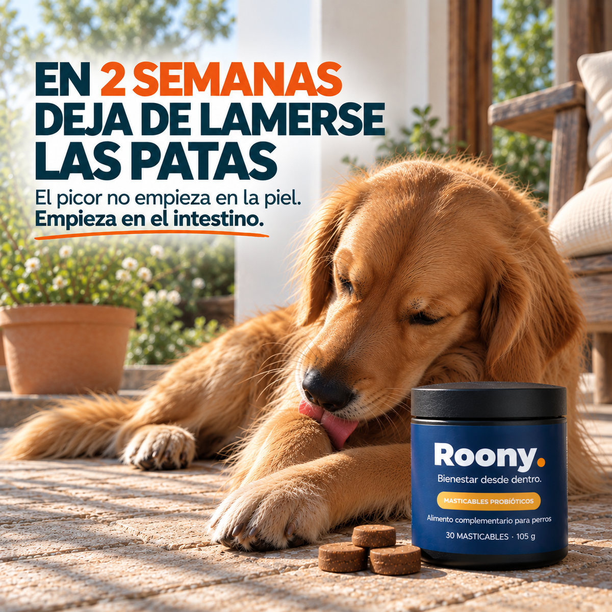 Roony Masticables Probióticos para Perros